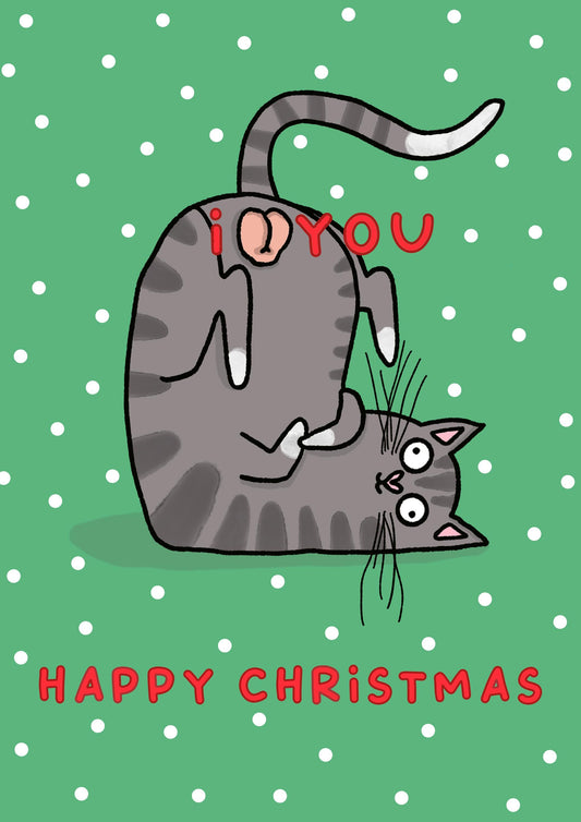 I Love You Cat Balls | Funny Christmas Card