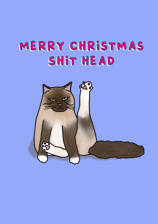 Rude & Unimpressed Cat | Christmas Card