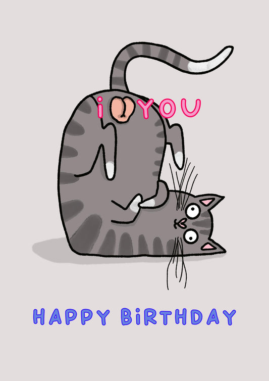 I Love You Cat Balls | Funny Happy Birthday Card
