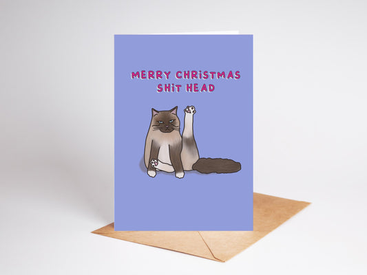 Funny Unimpressed Cat Christmas Card – Humorous Festive Greeting (Recycled)