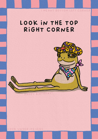 Fun Happy Birthday Card | Frog | Look In The Corner